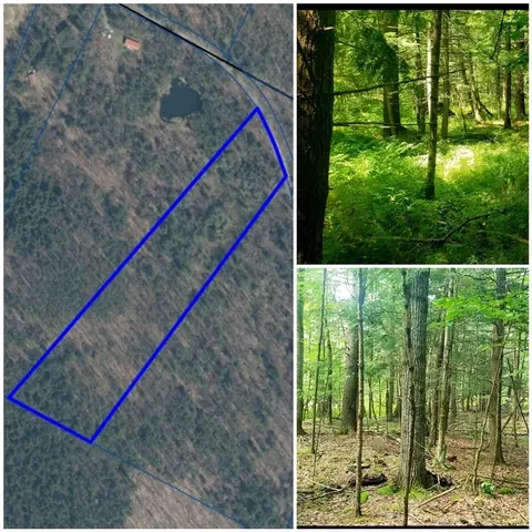 0 Anderson Rd, Gilboa, NY 12167