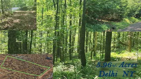 lot31 Fleming Rd, Delhi, NY 13753