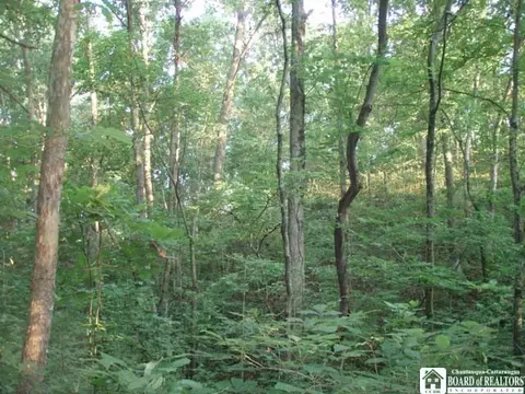 00 Mill Rd, Forestburgh, NY 12777 photo 2
