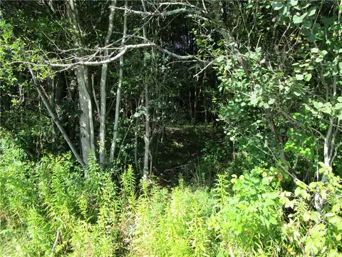 Lot #2 Hotchkiss, Greene, NY 13778