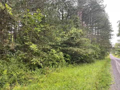 0 Strong Rd, Hector, NY 14886