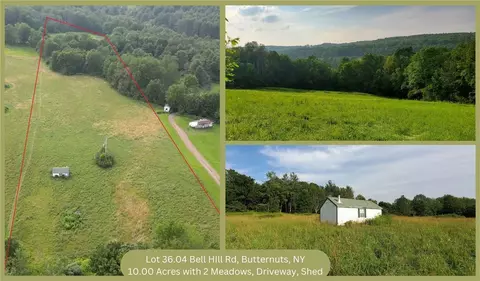 lot36 04 Bell Hill Rd, Butternuts, NY 13776
