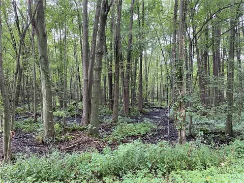 0 Culver Rd, Barre, NY 14411