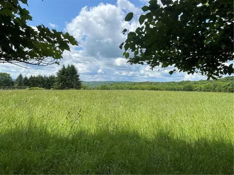 0 Truax Rd, Harpersfield, NY 13788