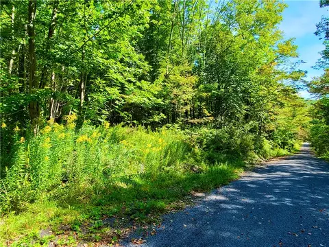 tbd Silas Lk, Fleischmanns, NY 12430