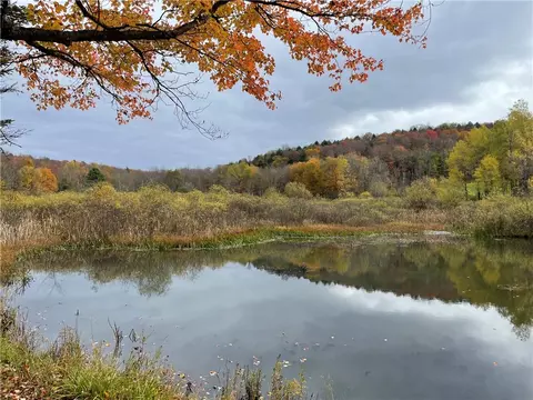 9305 Skaneateles Tpke, Brookfield, NY 13355