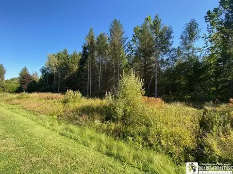 0 Munger Rd, Stockton, NY 14784
