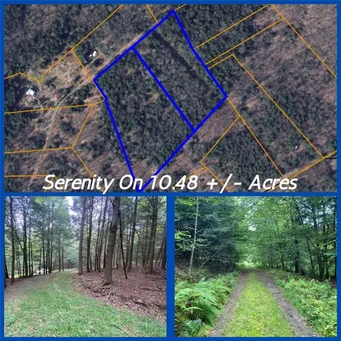 7 8 Ullas Way Rd, Davenport, NY 13750