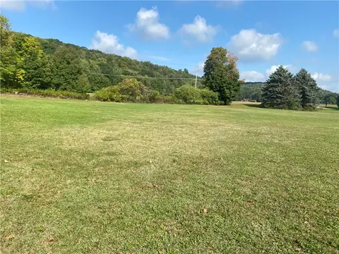 9197 Becker Rd, Springwater, NY 14572