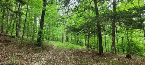 1425 State Route 417, Greenwood, NY 14839