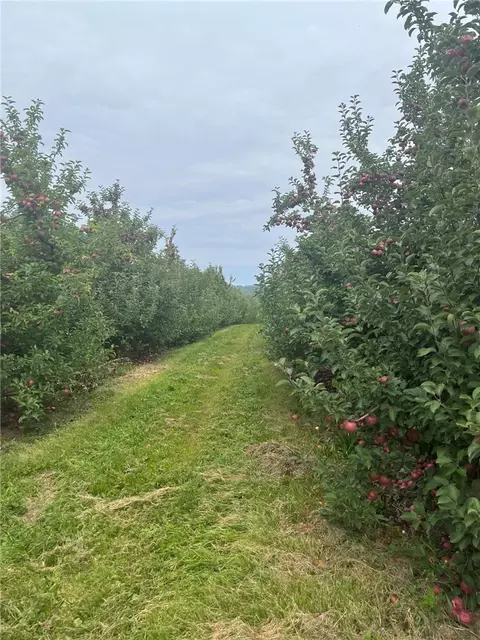 Vl Hill Road, Sodus, NY 14551