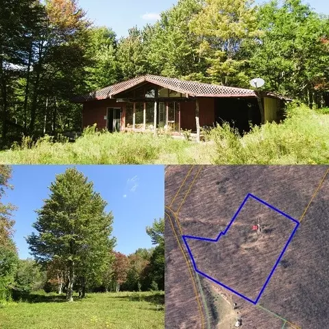 995 Calhoun Hill Rd, Bovina, NY 13731