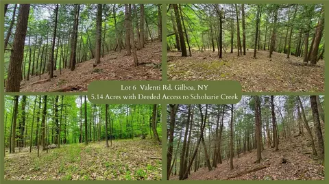 lot6 Valenti Rd, Gilboa, NY 12076