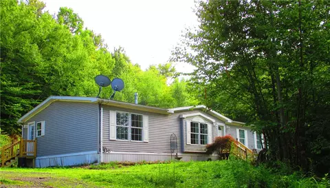 3525 Coe Hill Rd, Oneonta, NY 13820