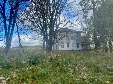 106 Nelson Rd, Butternuts, NY 13843
