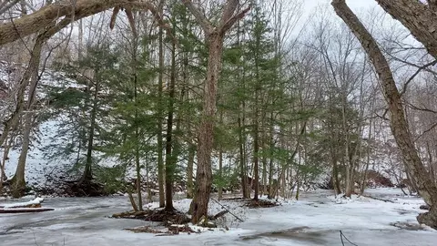 69 State St, Murray, NY 14470 photo 22