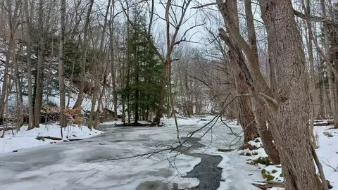 69 State St, Murray, NY 14470 photo 23