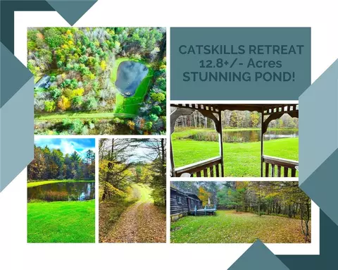 1460 Monkey Run Rd, Meredith, NY 13757