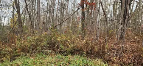 0 Peacock Rd N, Bath, NY 14810