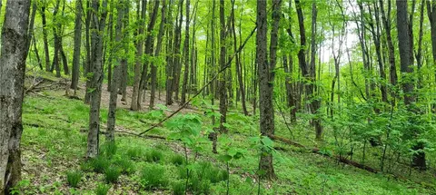 2967 Burdick Rd, Wirt, NY 14739