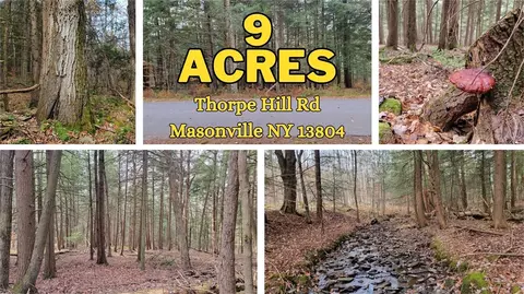 lot3 Thorpe Hill Rd, Masonville, NY 13804