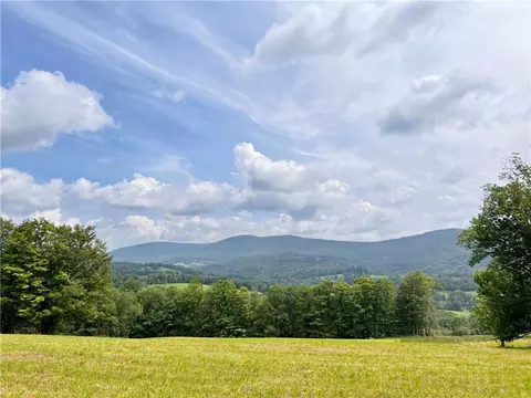 51 N Babbling Brook Rd, Bovina, NY 13740