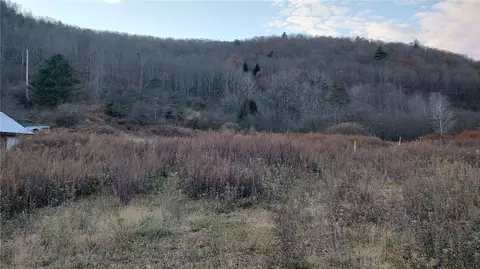 0 County Highway 67, Hancock, NY 13783