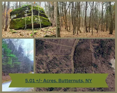 lot25 Musson Erwin Rd, Butternuts, NY 13776