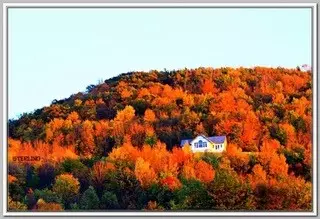 11789 Lyon Rd, Naples, NY 14512