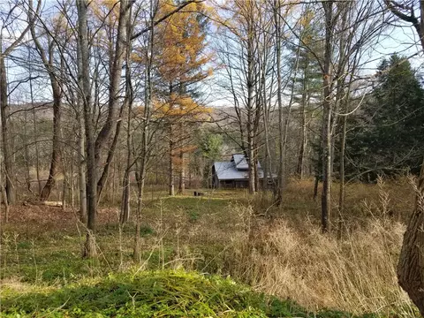 1718 State Highway 51, Butternuts, NY 13776