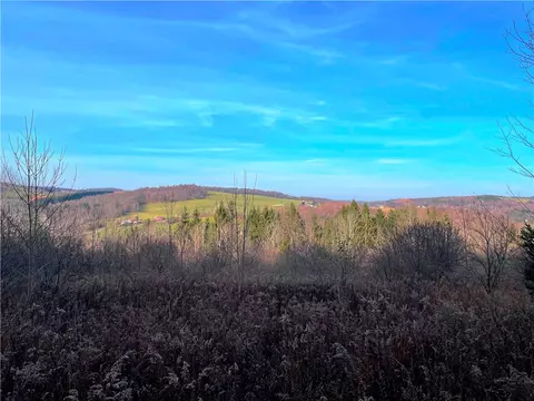 Lot 20.11 Billings Hill Road, Lebanon, NY 13332