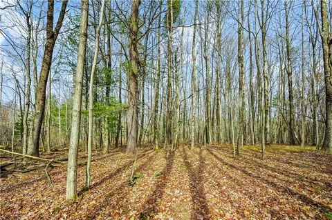 L13 Deer Path, Jefferson, NY 12167
