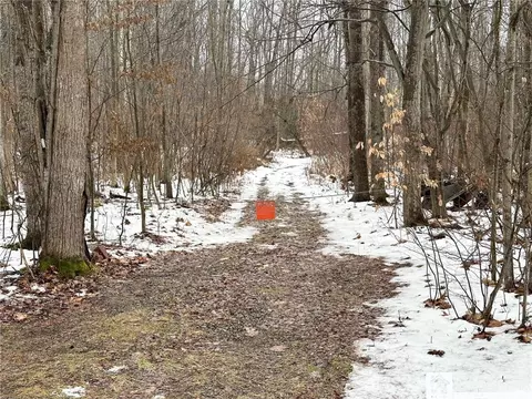 0 Poland Center Rd, Poland, NY 14747