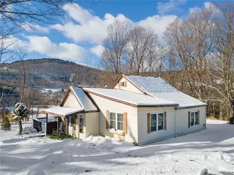 131 Fancher Rd, Richmondville, NY 12149
