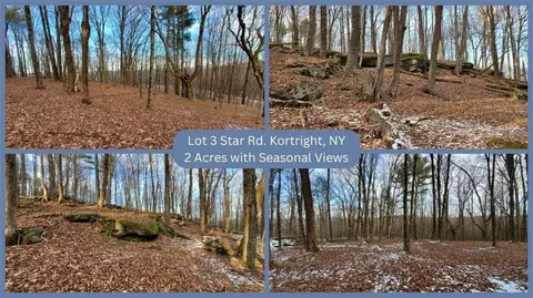 3 Star Road, Kortright, NY 13739