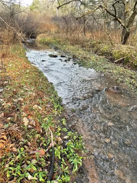 L16 Oregon Road, Butternuts, NY 13776