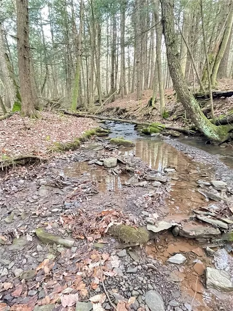 L15 Oregon Road, Butternuts, NY 13776