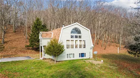 409 Sawyer Hollow Rd, Summit, NY 12175