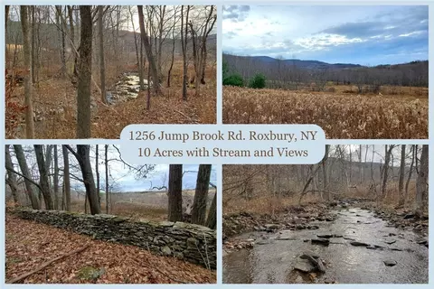 1256 Jump Brook Rd, Roxbury, NY 12474