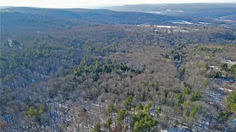 1445 Butternut Rd, Butternuts, NY 13776