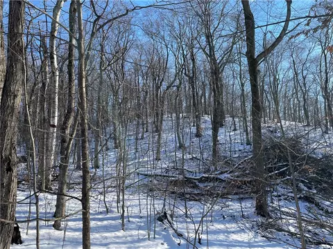 0 Hoyer Rd, Springfield, NY 13320 photo 8