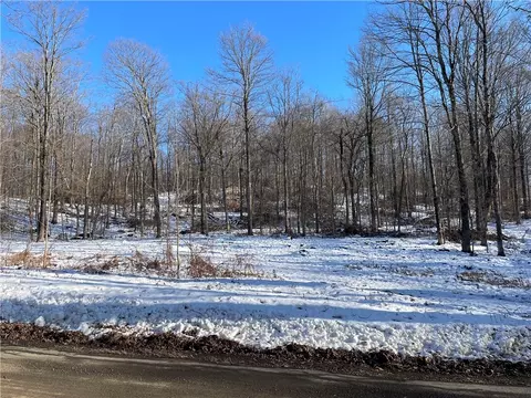 0 Hoyer Rd, Springfield, NY 13320 photo 3