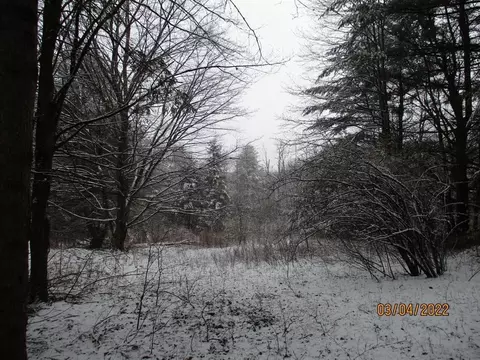 0 Fisk Hill Rd, Unadilla, NY 13849