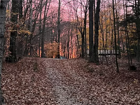 View/Area - 272 Frerer Rd, Bainbridge, NY 13733 photo 1 of 1