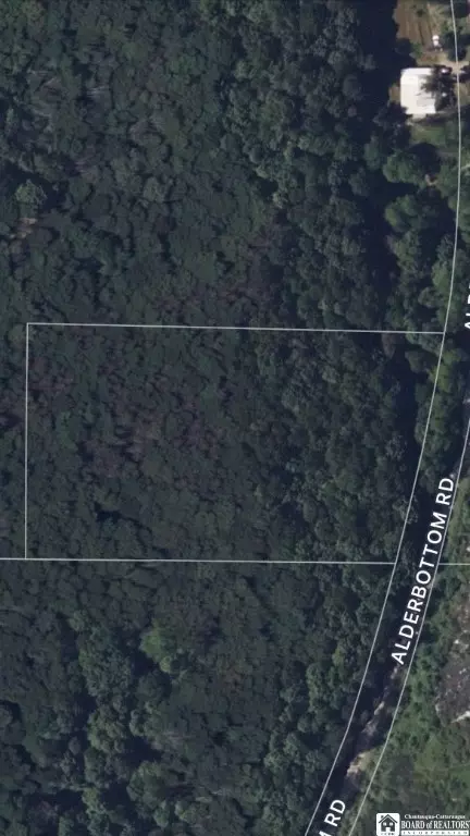 V/l Alderbottom Road, Leon, NY 14726