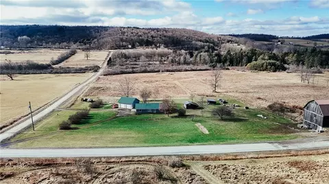 View/Area - 4255 Decamp Rd, Dundee, NY 14837 photo 3 of 5