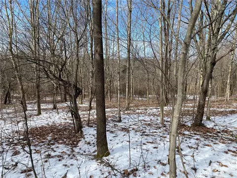 Lot #9 County Highway 14, New Lisbon, NY 13810