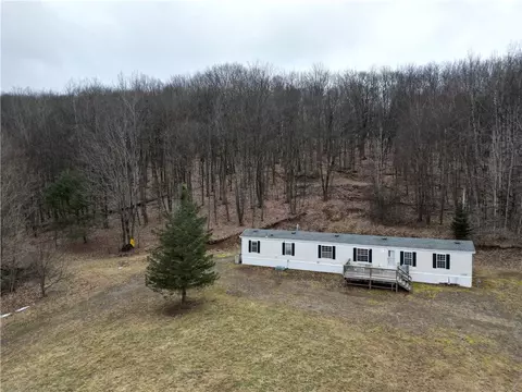 5335 Hog Brook Rd, Wellsville, NY 14895