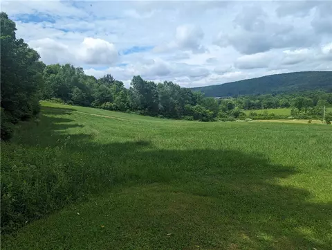 794 River Rd, Butternuts, NY 13776 photo 10