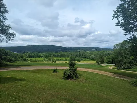 794 River Rd, Butternuts, NY 13776 photo 30